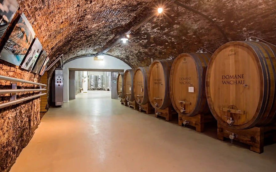 Domäne Wachau_Keller (c)Domäne Wachau_Löff.webp