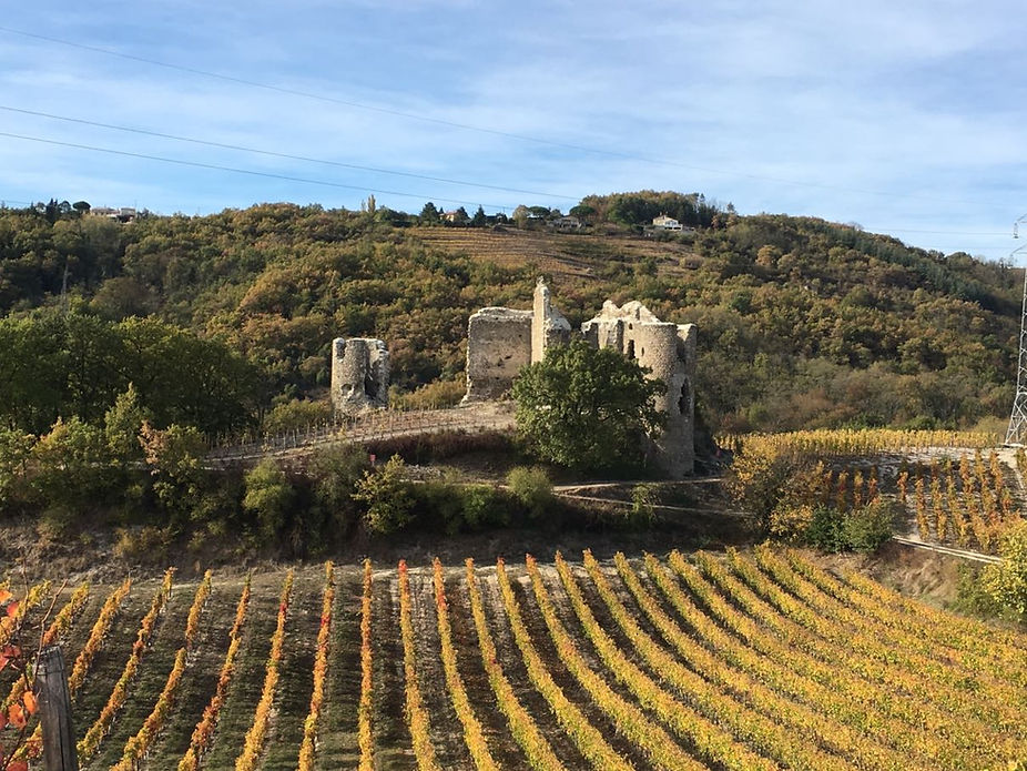 Le Chateau (Cuvée Louis BELLE).jpg