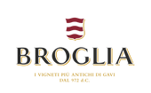 logo-broglia_2x.png