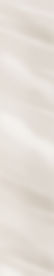 CIRCOLO web bg out.jpg