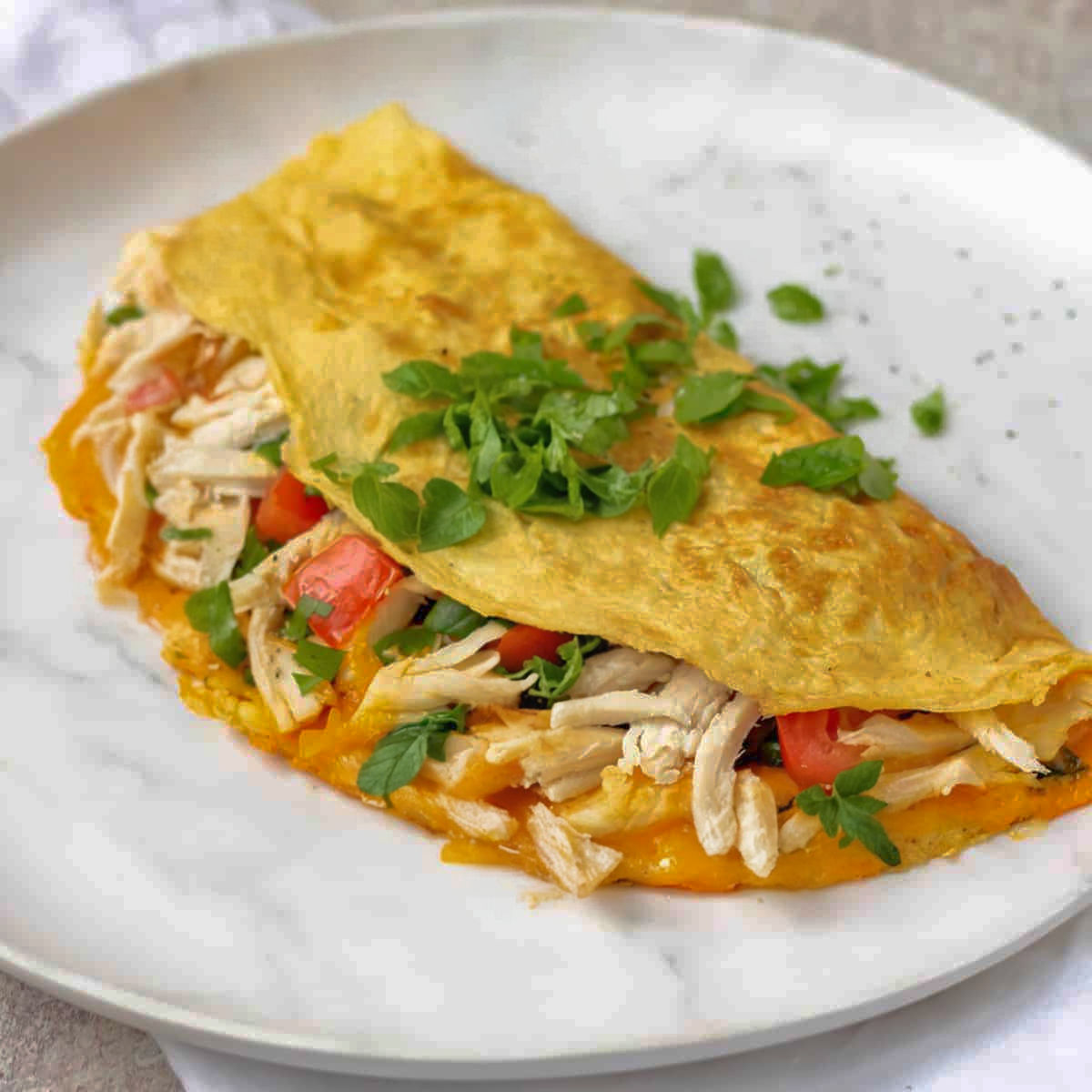 FF-  Chicken Omelette