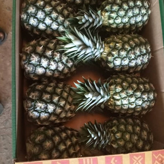 Pineapple
