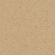 AS378659.jpg