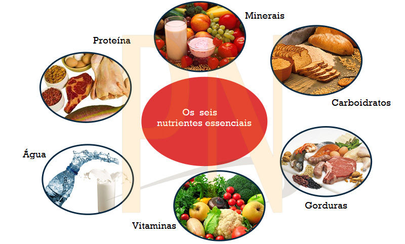Alimentação e Pilates - Blog - Pilates Ponto Norte
