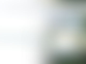 20th Year Thanksgiving Programme