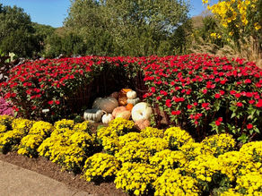 Festivals and Events Make for a Spectacular September