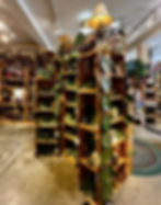 Seagrove Pottery Gallery
photo personal collection