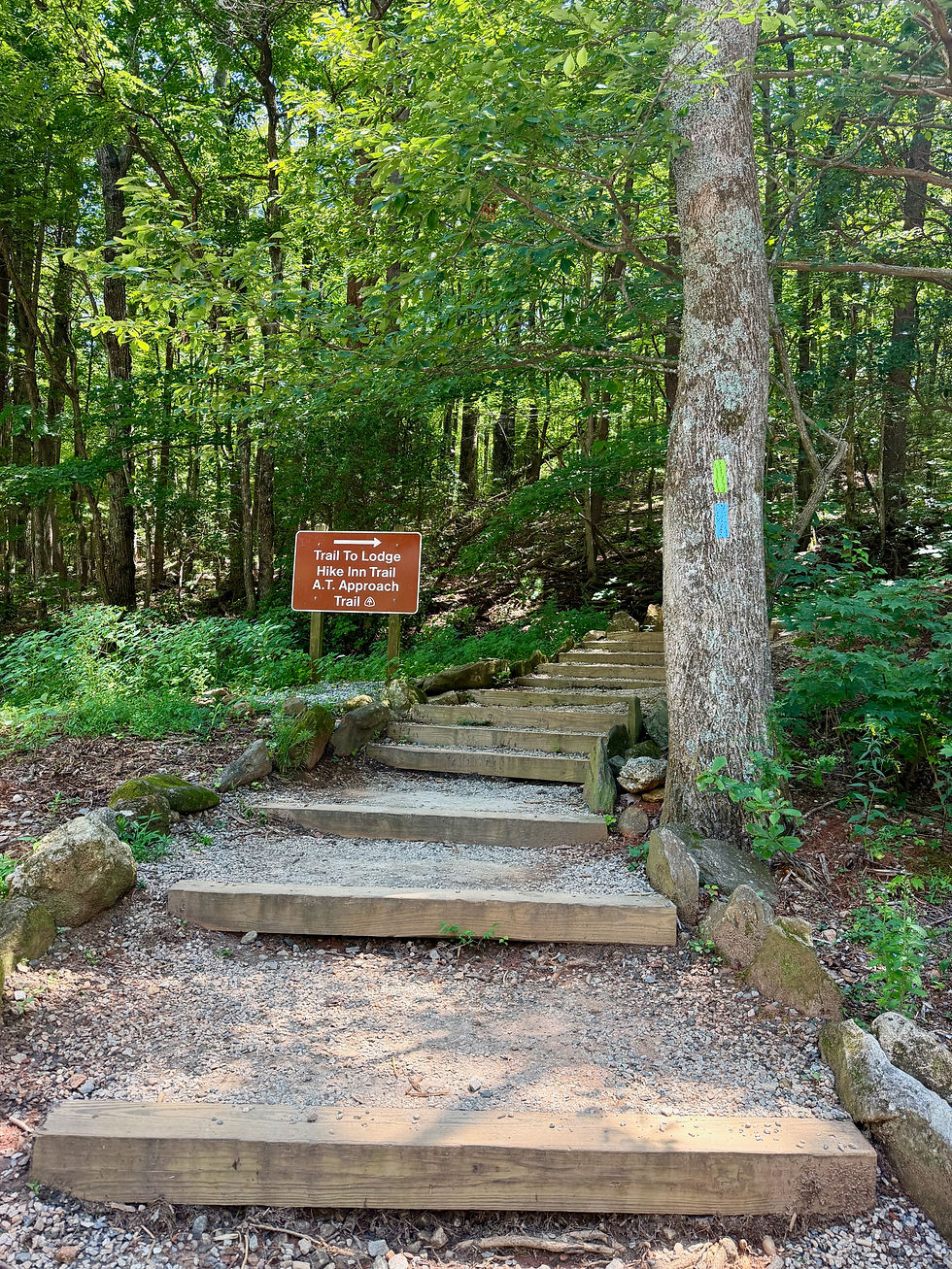 Hike to the Appalachian Approach Trail and more from Amicalola Falls State Park in Dawsonville, Ga. . photo personal collection (2026)