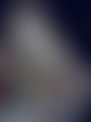 From Twinkle to Trail: There's Still Time to Catch Post-Holiday Light Shows 