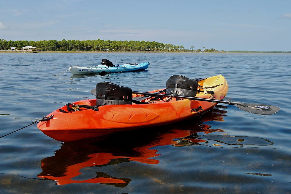 gulfcountyflorida.jpeg