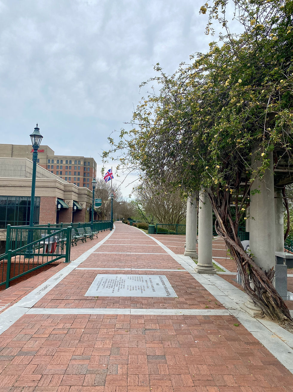 Augusta Riverwalk                                                                                       photo personal collection