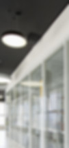 seo service near me
