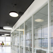 Corporate Offices-Employees