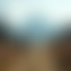 2026 What's coming next?