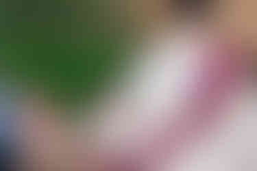 The bride walks down the aisle at Tierra Luna, Garza Blanca Puerto Vallarta, accompanied by her parents. She wears a vibrant red saree with gold embroidery and carries a white floral bouquet. The aisle is sprinkled with red rose petals, and guests on both sides capture the moment on their phones. In the foreground, the groom stands in a cream sherwani with a deep maroon stole, waiting for his bride under the tropical greenery backdrop.