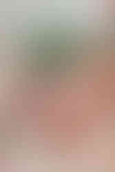 Bride Devina holding a bouquet of delicate white baby’s breath flowers, her hands adorned with intricate mehndi, red and white bridal bangles, and pearl jewelry at Moon Palace Cancún