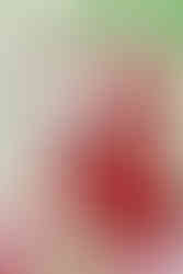 ndian bride in a traditional red Bengali saree and groom in ivory sherwani smiling during their Hindu wedding ceremony at Garza Blanca Cancun, seated before the sacred fire.