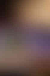 Lavish Indian wedding reception at Moon Palace Cancún with cascading floral ceiling installation, tall white floral centerpieces, gold chairs, and stage backdrop featuring greenery, gold lattice panels, and monogrammed D&R design.