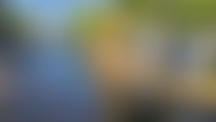 OOAPAS repara línea sanitaria en lateral sur de la Av. Camelinas