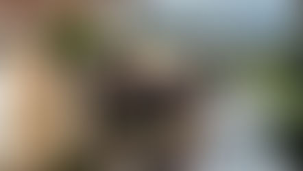 Mantiene Gobierno de Morelia apoyo a colonias afectadas por lluvias