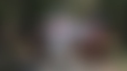 El campo, para esta administración sí importa: Alfonso Martínez