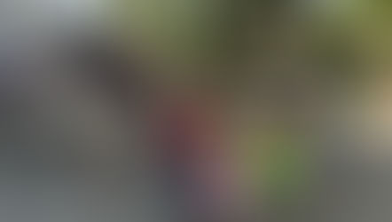 Invita SeCultura Morelia a los talleres de pintura navideños gratuitos, este domingo