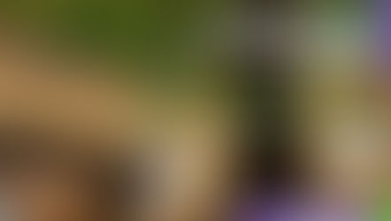 La Ludoteca del Bosque Cuauhtémoc abre sus puertas para los más pequeños este verano