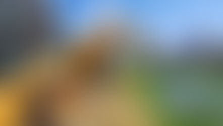 Continúan jornadas de limpieza en varios puntos de Morelia