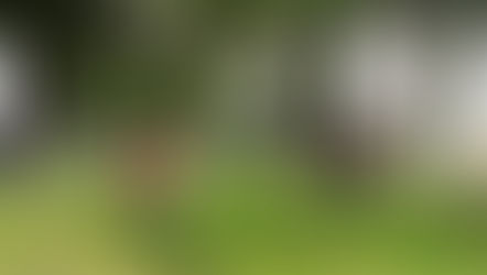 Jornadas sabatinas llegan a Valle Quieto y salida a Charo