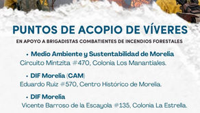 Gobierno de Morelia convoca a donar víveres para brigadistas forestales