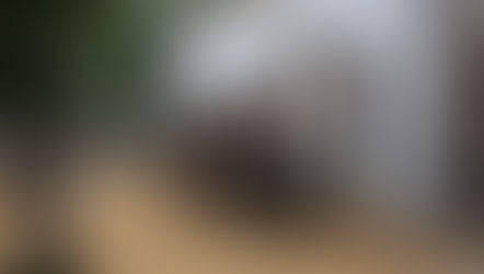 Inicia rodaje en Morelia de la película “Las Señoritas de Valladolid”