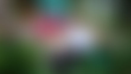 DIF Morelia invita a actividades en apoyo a familias que han perdido a un bebé durante el embarazo o al nacer