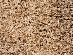 Wood Shavings