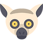 lemur (1).png