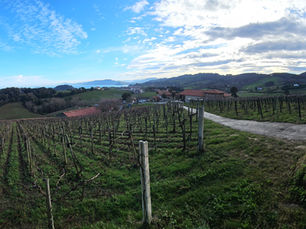 Txakoli: The Unexpected Jewel of the Basque Country in Northern Spain