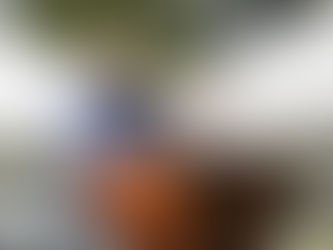 A Hazard Unseen Is a Hazard Uncontrolled