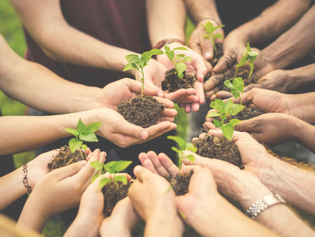 Community of Entrepreneurs