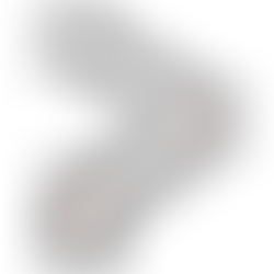 FR16