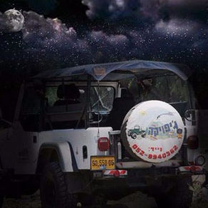 קטיף שעל - טיול ג'יפים מרתק לאור הירח - ספארי לילה בצפון רמת הגולן