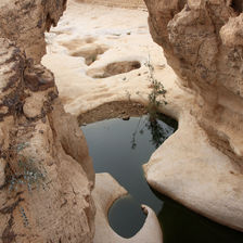 תנועה בראונית