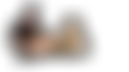 Great Service! | Movers Reviews | Long Distance Movers