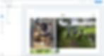 Wix Photo Albums: About Wix Photo Albums