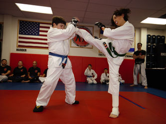 THE ISRAELI MARTIAL ARTS ACADEMY, karate, judo, jiu jitsu hisardut, krav maga