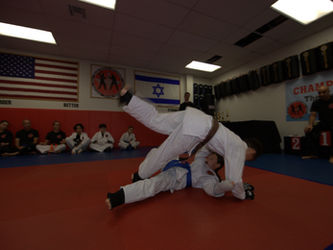 THE ISRAELI MARTIAL ARTS ACADEMY, karate, judo, jiu jitsu hisardut, krav maga