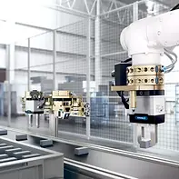 SCHUNK SWS-001
