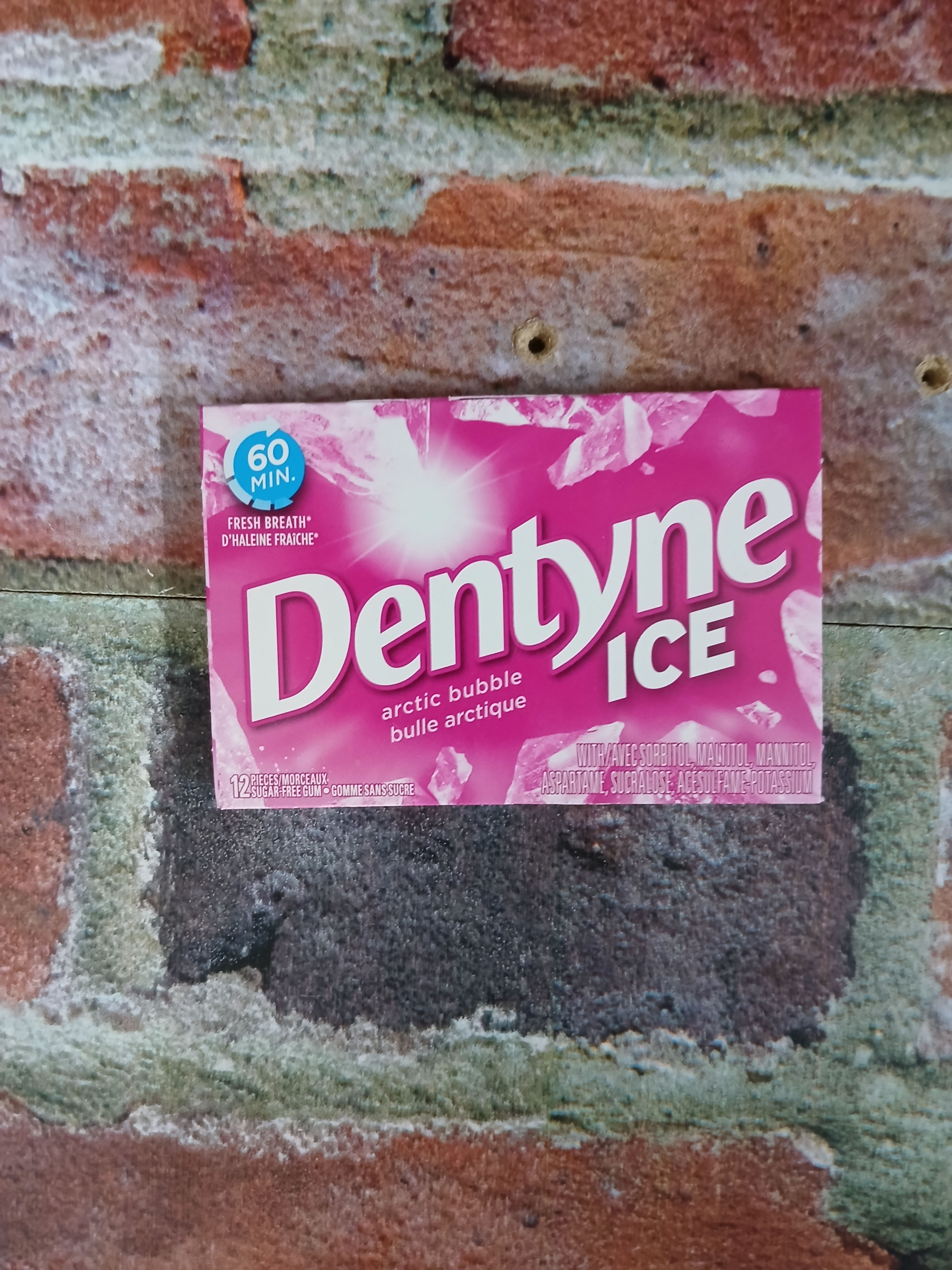 Dentyne bulle arctique 12 morceaux