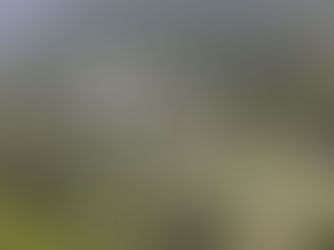 WHY ZEMITHANG,ARUNACHAL PRADESH?