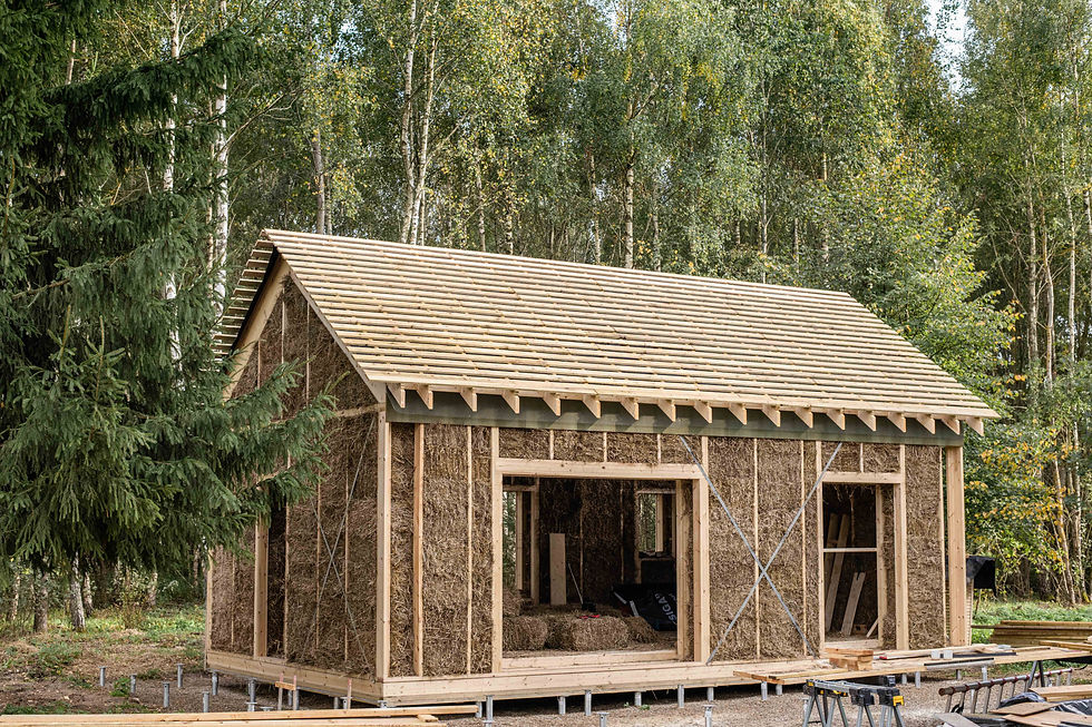 Miniatyrbilde: Bok: Straw Bale Building Redefined af  Raimondas Bružas