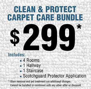 carpetcare_bundle.jpg