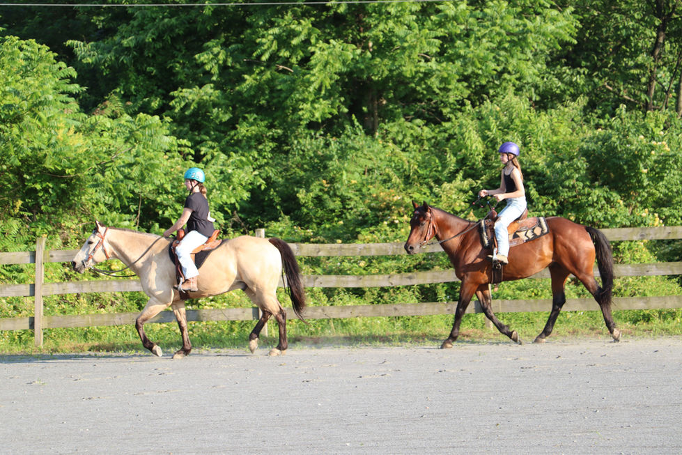 buds grand kids western
